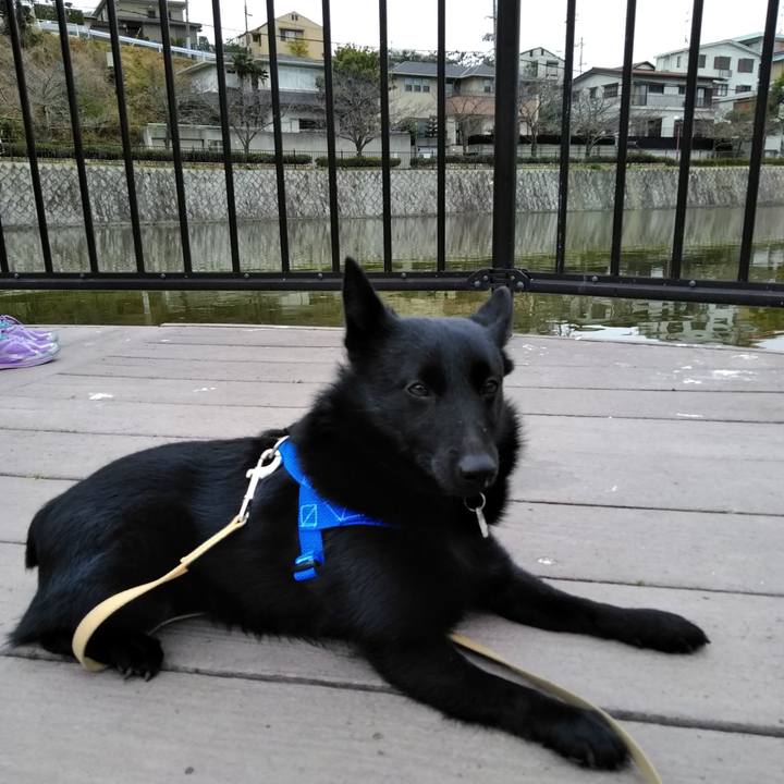 D96888ee 5ed6 4f01 8963 c74d35e180cb 1552186289379