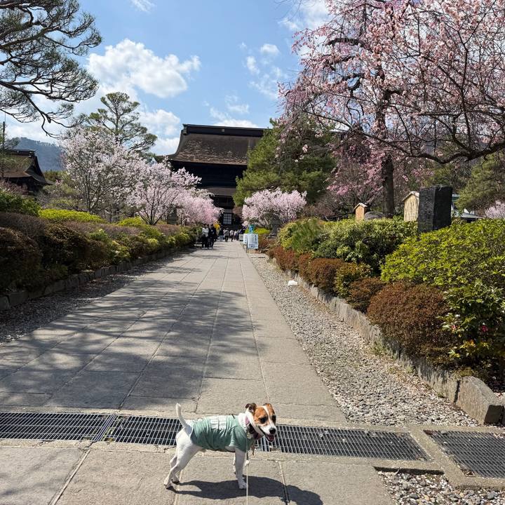 D968ef85 4da9 4d9d af03 628c1f403a00 1775275978371