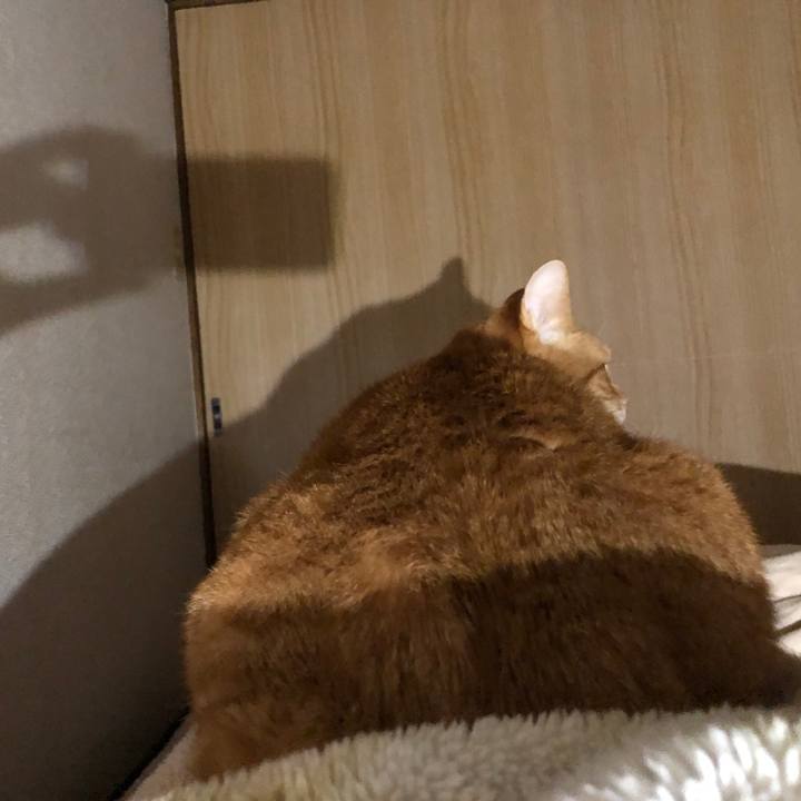 D9690f7b ee6c 494c af4b b8e1af7d522d 1736627859134