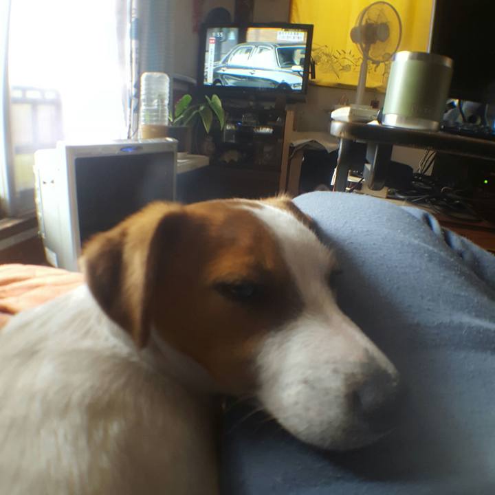 D969220d 5f85 4689 ab27 4063134e3d2b 1556585926605