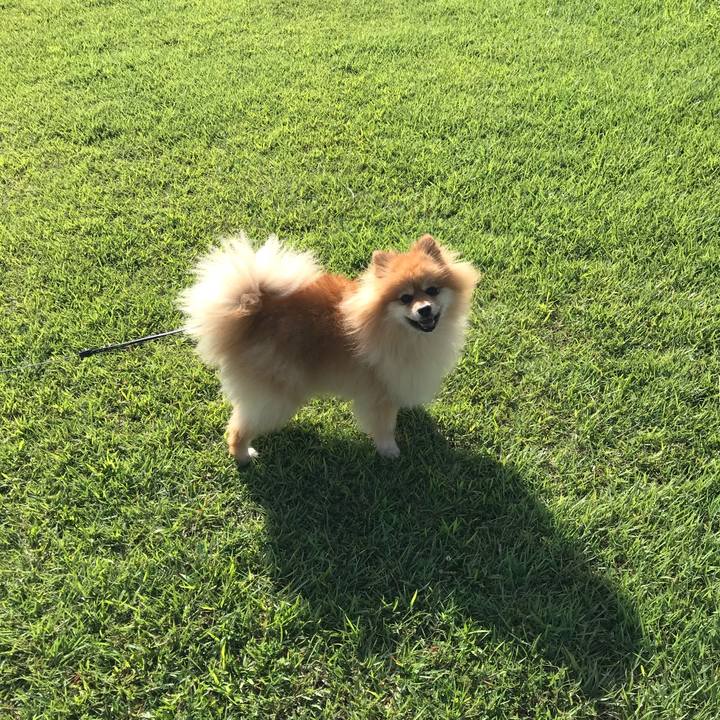 D9693910 097c 4776 8e65 52dc51801252 1534560051428