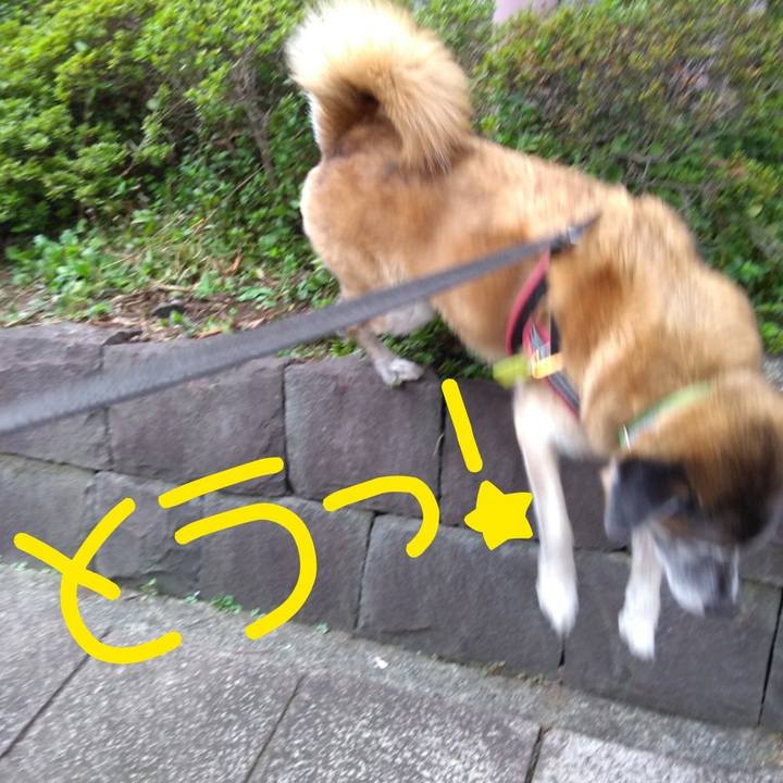 D96944f8 7cd4 433b 9c43 c202f2b3b8d8 1566863301469