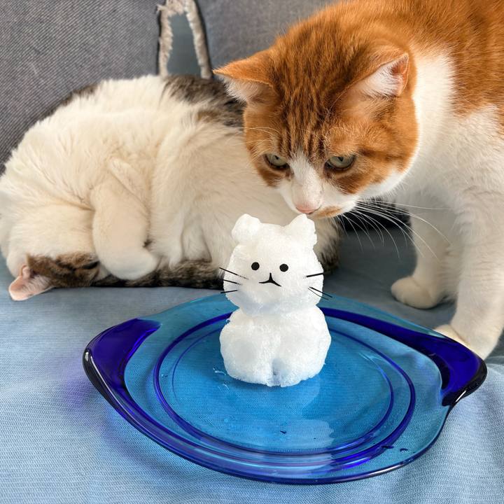 D9695a2b 9e92 41ae a4d6 48df840da630 1771198871411