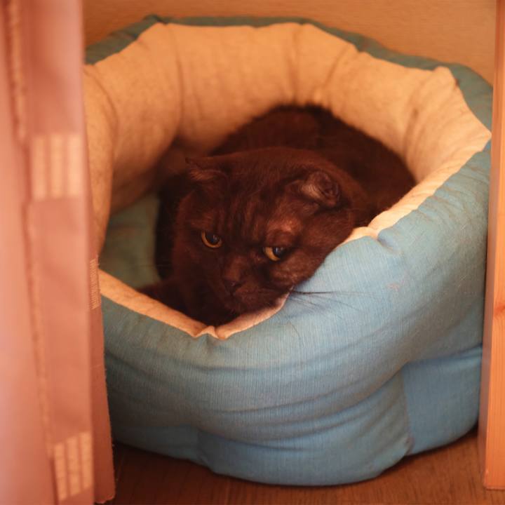 D969fe15 d081 4030 aad0 2339e39f2132 1628589228276