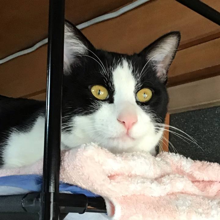 D96a25e5 3724 41bd 8993 76c480082fae 1643066301718