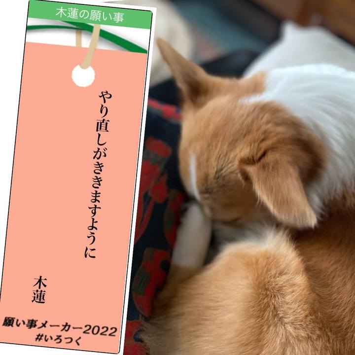 D96a30e2 7db7 4eeb a084 a5c333322313 1657159459531