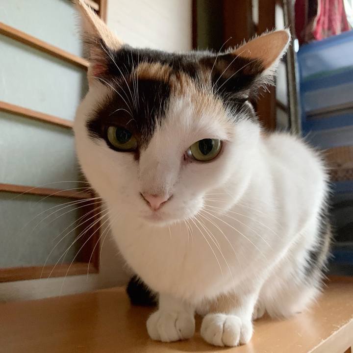 D96a6f8b fd70 4b0f b367 fde1c56f0114 1538879914955