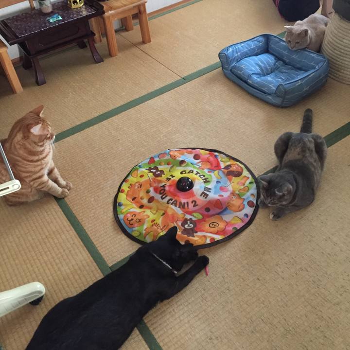 D96a7d33 3f2a 413f 8b6f a86ac2da9f1c 1598186832844