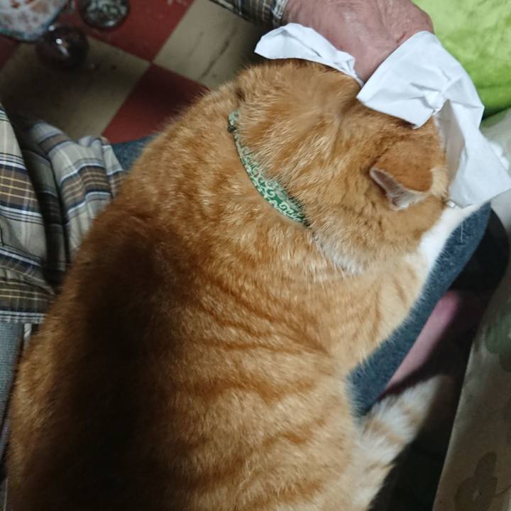 D96a8b96 6b08 4e2b aca1 7090ae50f558 1582624707397