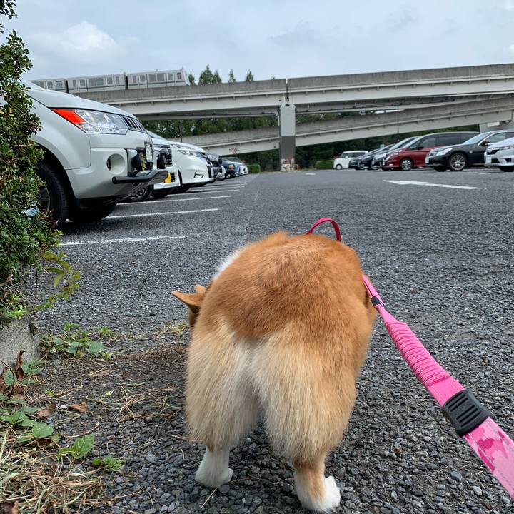 D96a9cc9 885f 420c b0ba 453a2985078f 1601787228627