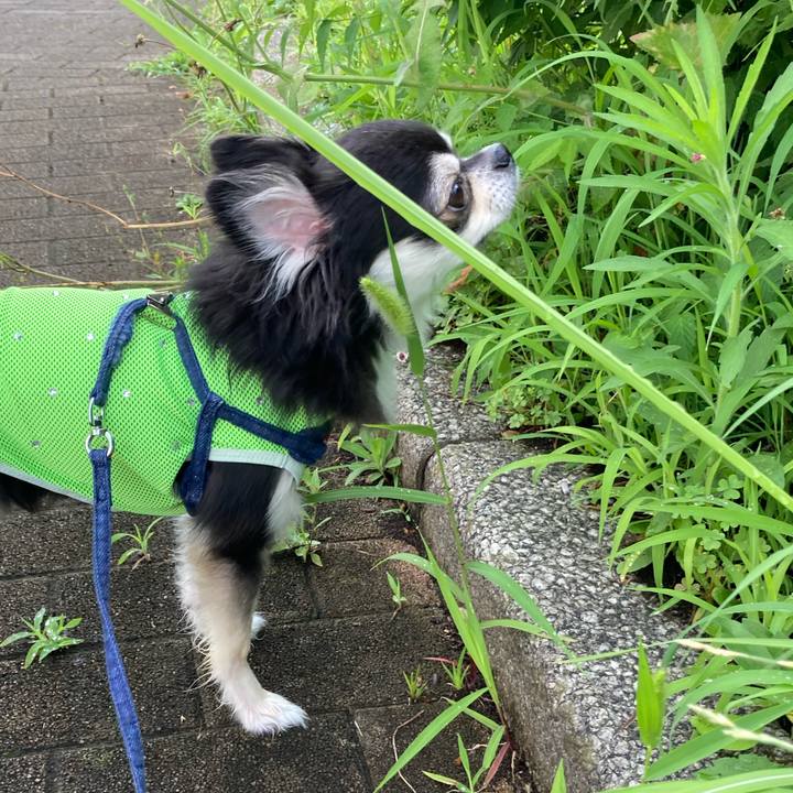 D96aadfa 3442 4207 86f9 d65a882e9a37 1688310413895