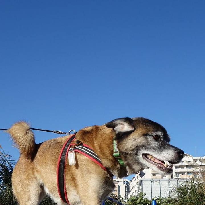 D96ae961 a7ee 4684 925e f919dbabfa9c 1510449044600