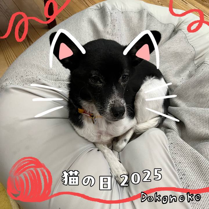 D96b01c4 ad84 4c85 bc78 f2b6376b5775 1740235184655