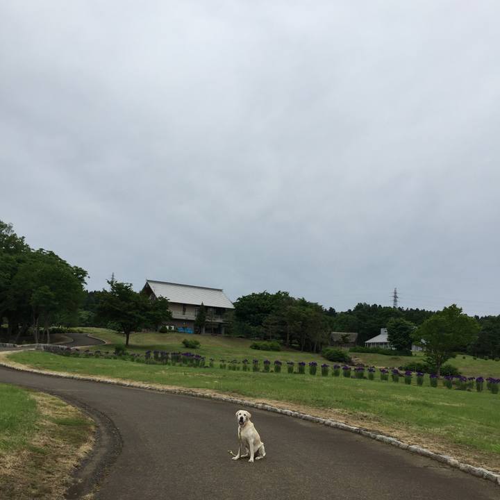 D96b1f6c 82cf 4012 a8a9 87af01e92a67 1527039914109