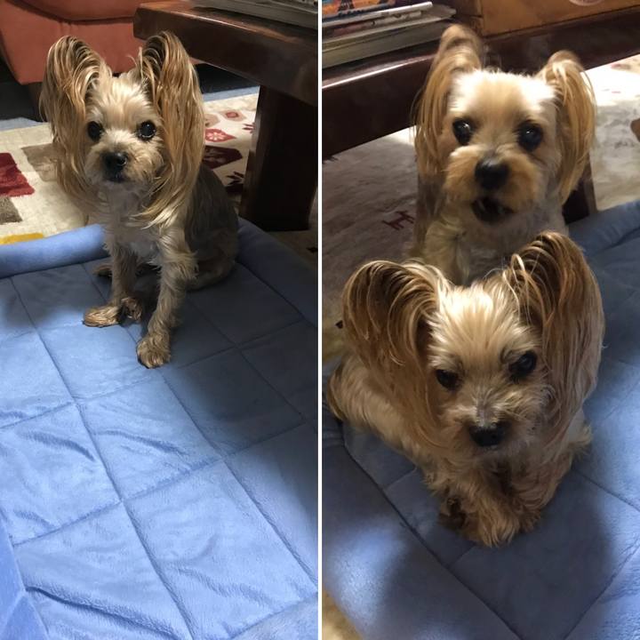 D96b6fb7 c67b 42b9 9d4f 1f948398f86e 1632994118333