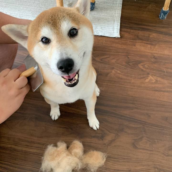 D96b7b51 db51 4e52 b4a2 6f9c4872e3b4 1625889314149