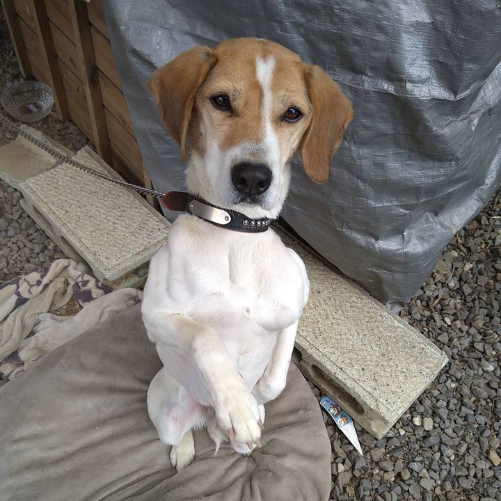 D96b92a5 900a 459b a3ab 4cc9cc609e65 1650107350934