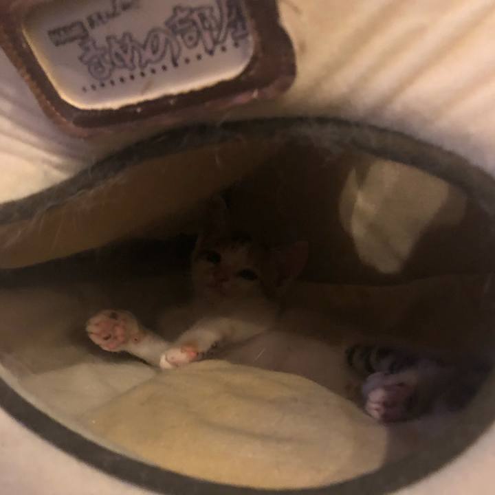 D96b963d 3667 4960 ac24 50f914c0d970 1561292125956