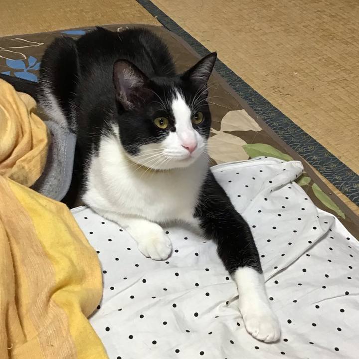 D96b9822 2c6d 4818 a9fa 8fec0fcf8224 1652481365389