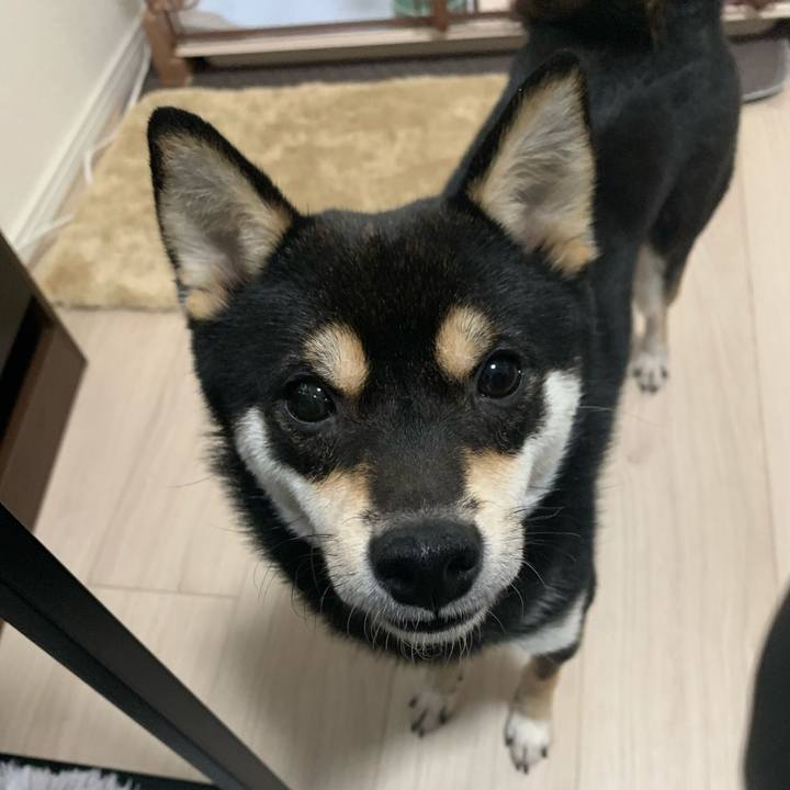 D96bbd13 924e 4967 a1c8 3d351a7547fc 1610582648191