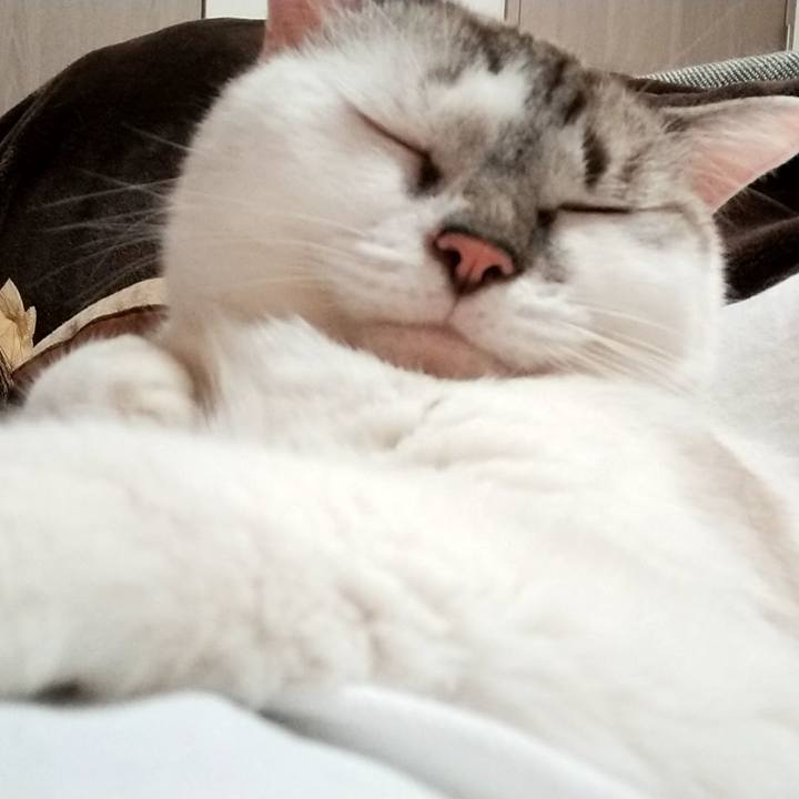 D96bdb28 4601 4885 8f3f 8a9dcfdf2d7d 1599952290847