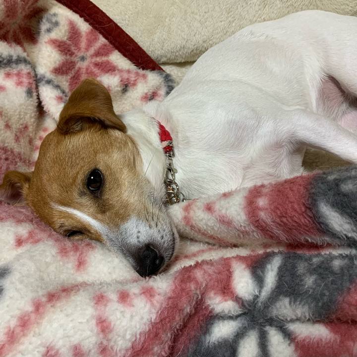 D96be732 ff57 4f9a 942f c560ec28e15e 1605444215733