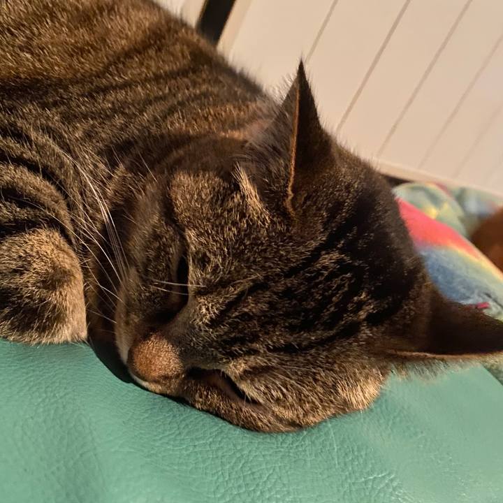 D96c35b6 c0e0 4cc0 9fce f0f1d58245e5 1589967689323