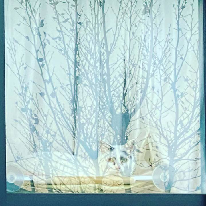 D96c5908 08ec 4aca 8e1a 685a30bf76c8 1611206074444