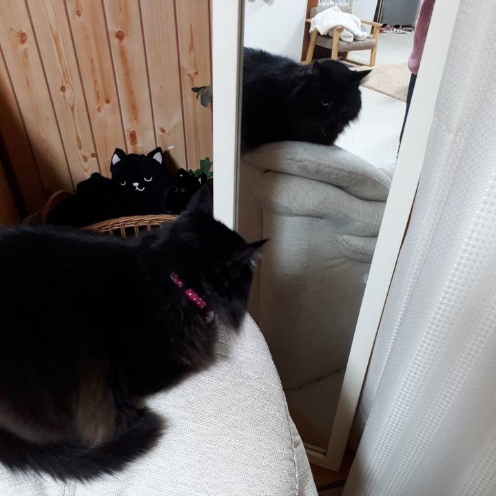 D96c6c52 a884 4bb2 91a3 94bb3695649e 1518031298291