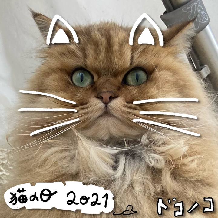 D96cbc60 292a 4646 8f71 9ac616e73bd3 1613966082993