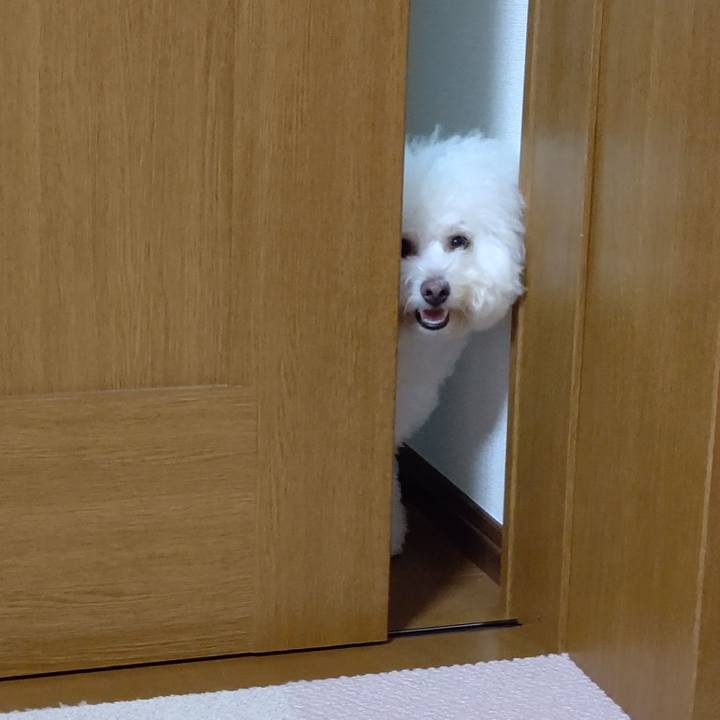 D96ce25b ef03 4c70 bfc6 e830a9e021ee 1569755945951