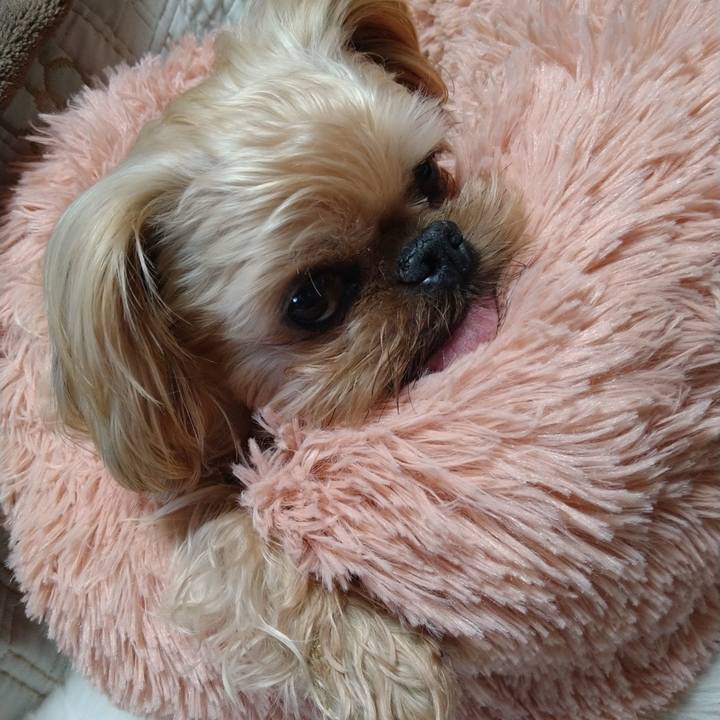 D96d02c8 10e2 4195 aa45 e25b708b0b17 1616554044300