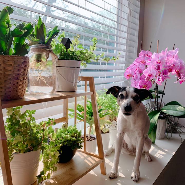 D96d23b4 eafd 4d23 84a2 043e4b1d0b28 1616797471266