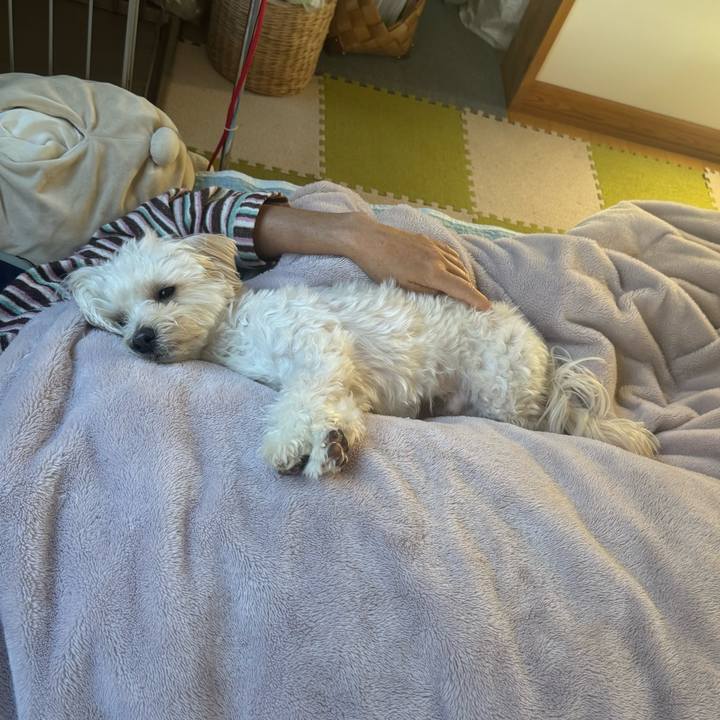 D96d2965 c5a6 46e8 a488 2874c87b5842 1763955823035