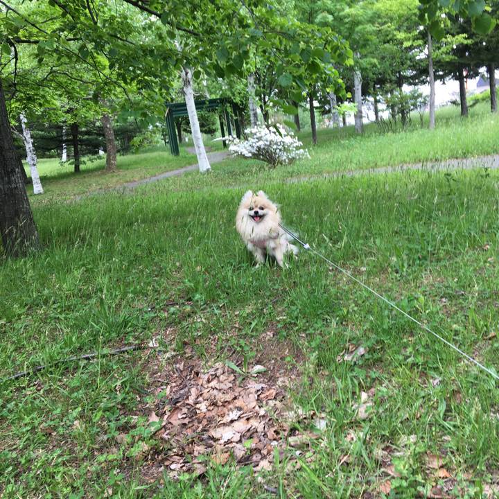 D96d41b3 b1e4 44e5 86f8 23ef40cde47f 1528008700254