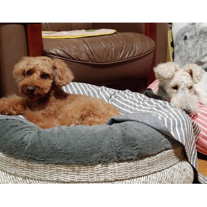 D96d6ff4 9a85 47ce 9414 6c33e9f06eaf 1563893285822