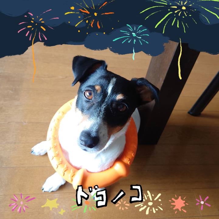 D96d73d1 2a8c 4b3b b2ed 15583ca0ffce 1723533925034