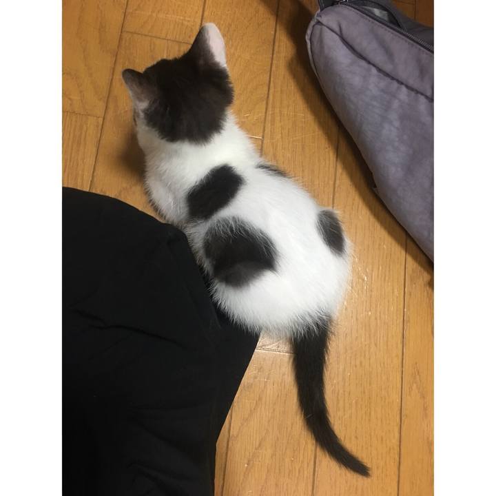 D96d777c a7e5 41df 928f 1a0d8c52b80e 1529954584499