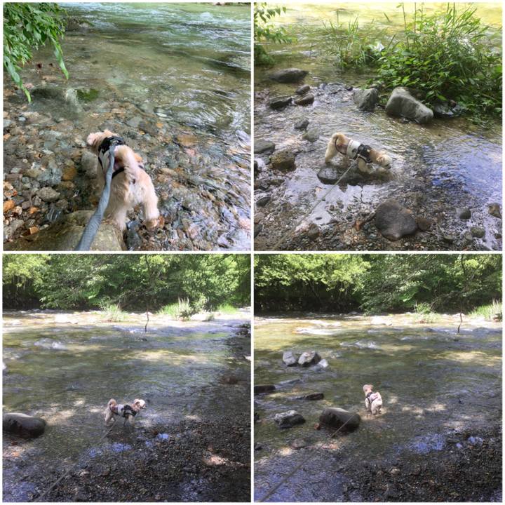 D96d7a1d cbac 491d 9f17 87d2aaa98ca8 1560729705878