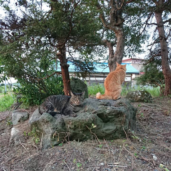 D96d8ed3 84f3 49d0 8da9 724ed8eaed7d 1662497977565