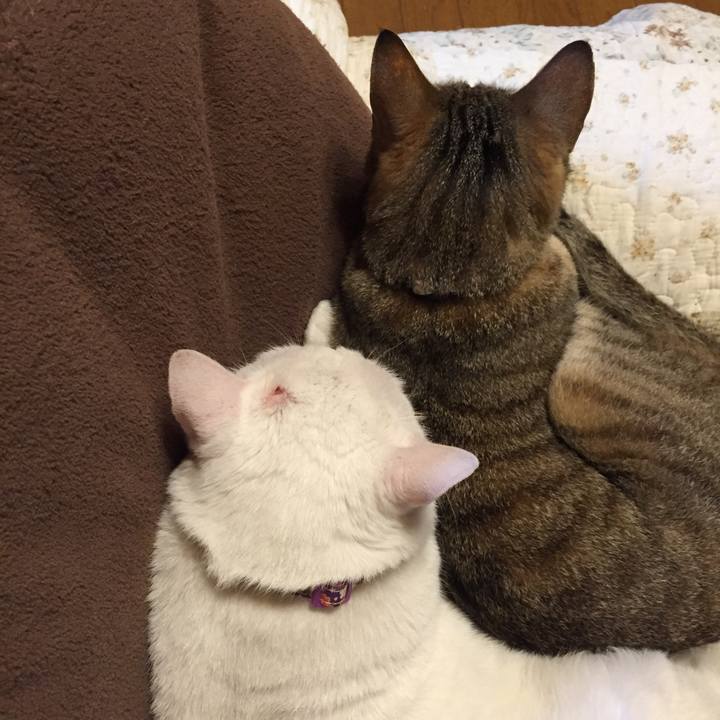 D96dab46 eb62 4edc 9c8c 0c774061b547 1560078872854