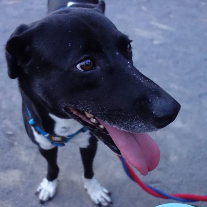 D96de0e8 85b9 42cc aeed e8e2ad280181 1627296694483