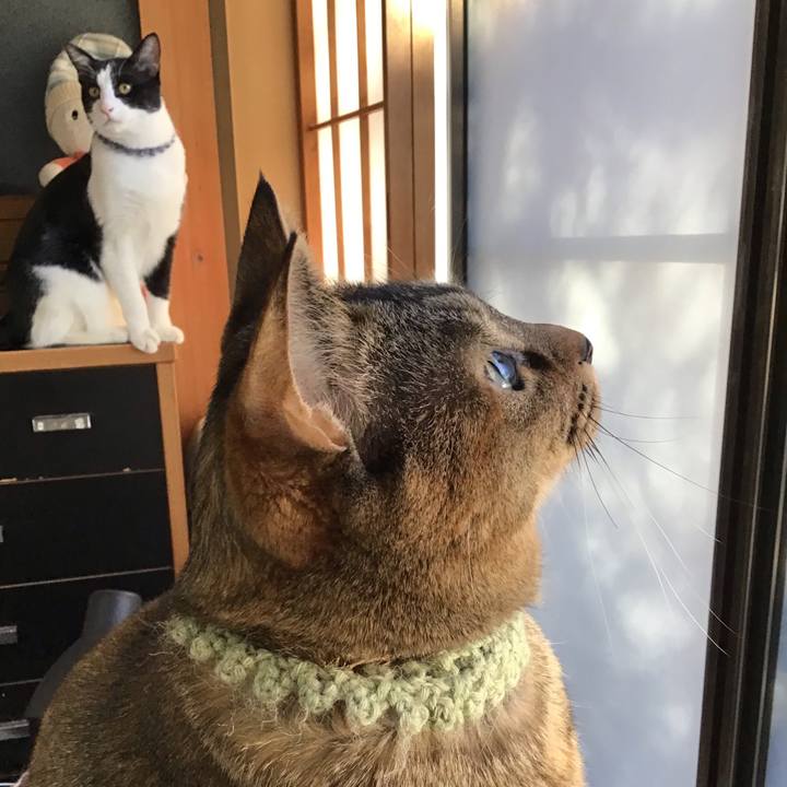 D96df69e 8f4b 45bc 8466 6d3f0adeeb7a 1640993031380