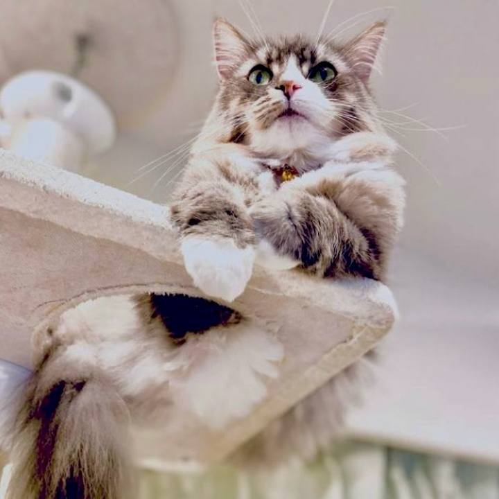 D96e3dc2 bbfd 4a6b 8d83 88f22fb5a858 1706544251154