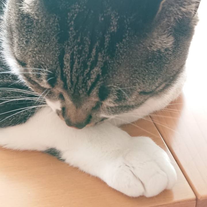 D96e43d4 df5a 40ed 8d0c bba5a16bd658 1529366469183