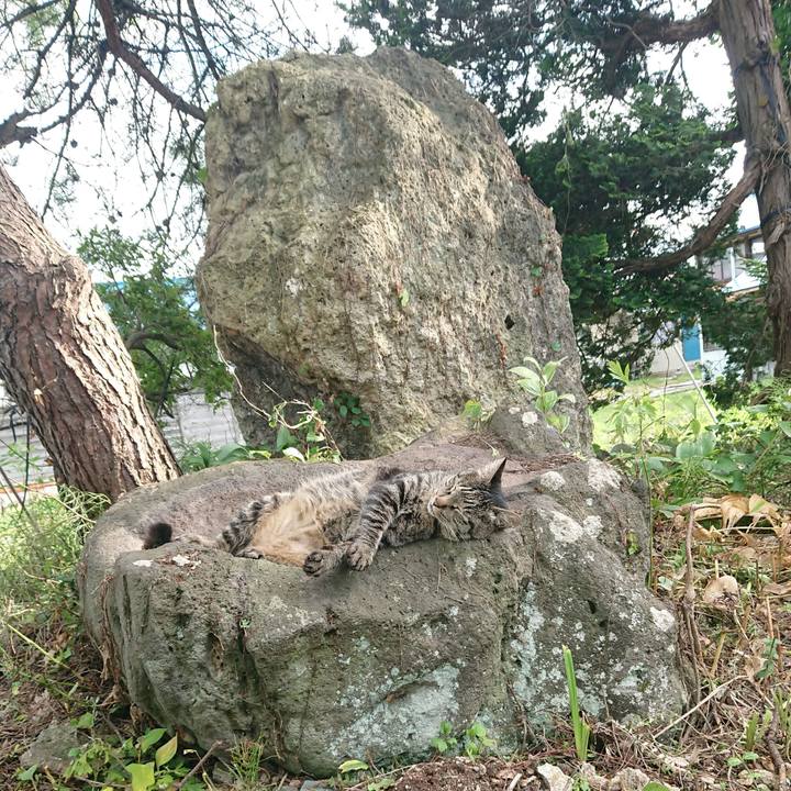 D96e64ad 7ac8 432a b9d5 74fcbb4d1704 1658649369062