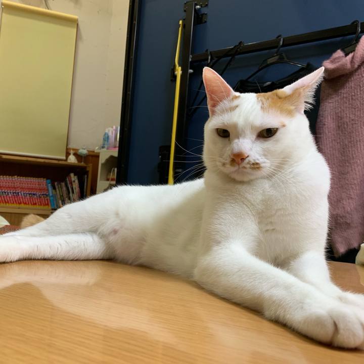 D96ec414 f8c7 4a4a 85ed 06fba62b01e9 1554393227583