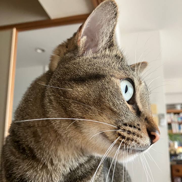 D96edcf8 c872 4cb3 b01f ad2b60fafb51 1759704309304