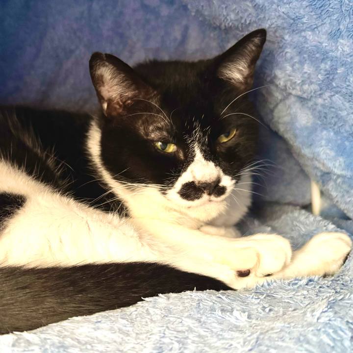 D96ee3f6 b472 47cf 8988 c1a01343a55c 1744589641893