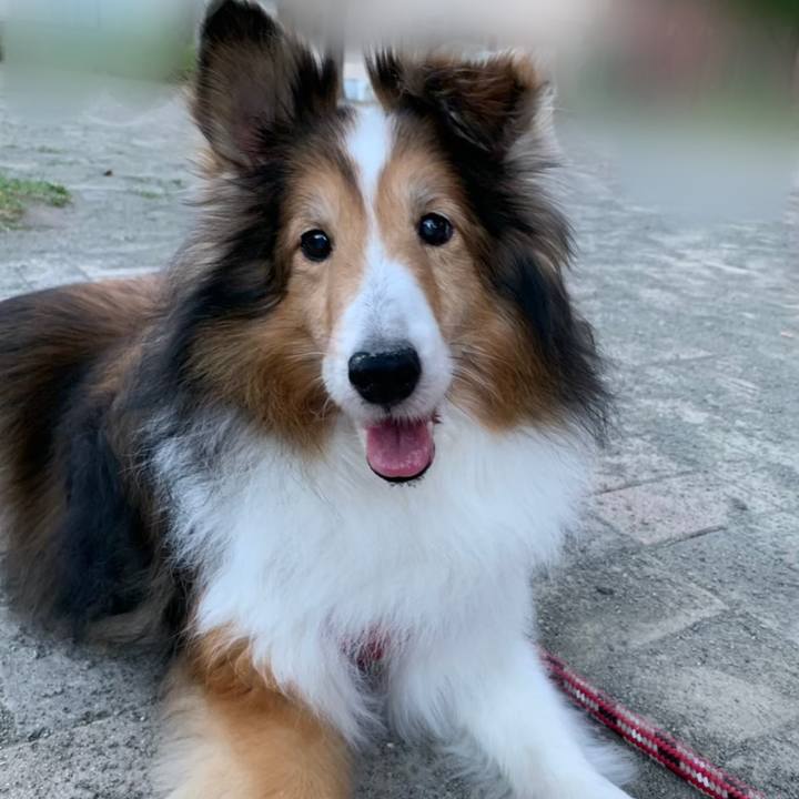 D96f002a 6e4a 4608 a96c a71ac57dea11 1570342503641